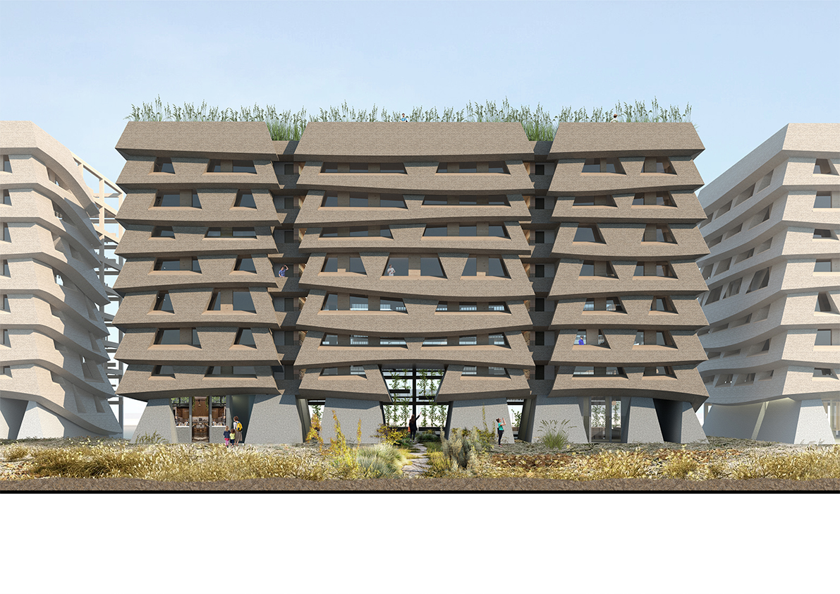 A concrete plinth accounts for future flood levels, lifting the thick thatch coat above the high-water mark. A living reed crown tops the facade, forming part of the greywater reed system on the roof.